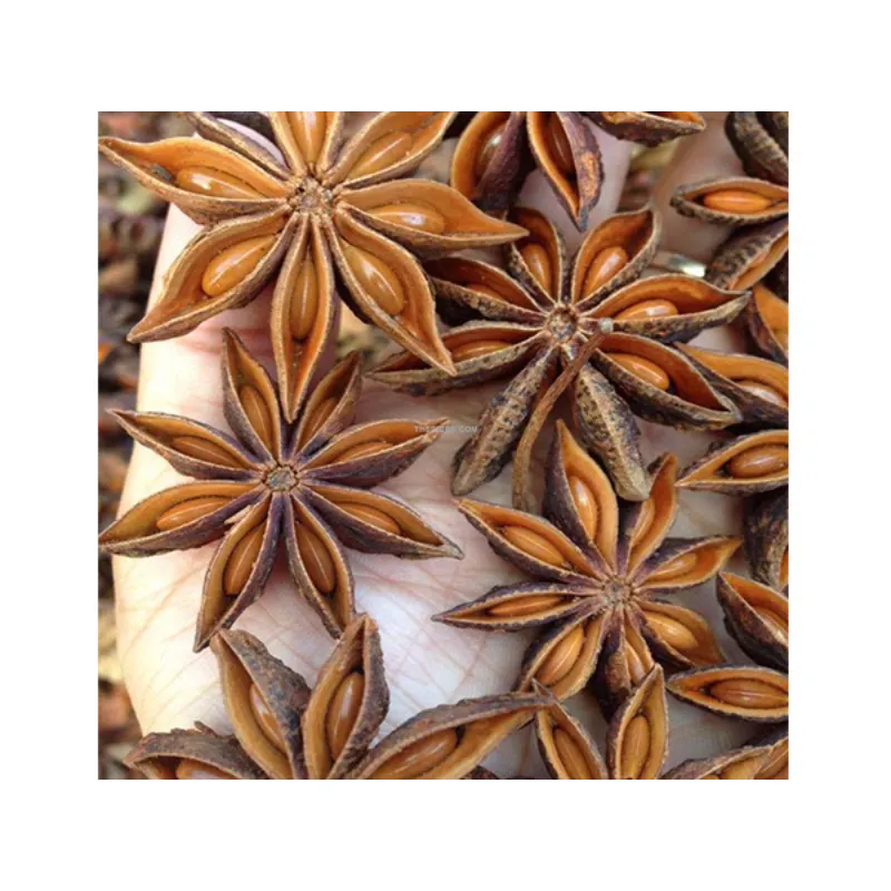 Hồi thu TH Spices